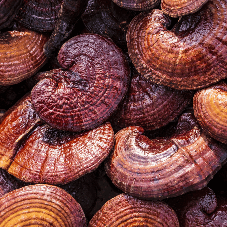 Created for those seeking something more