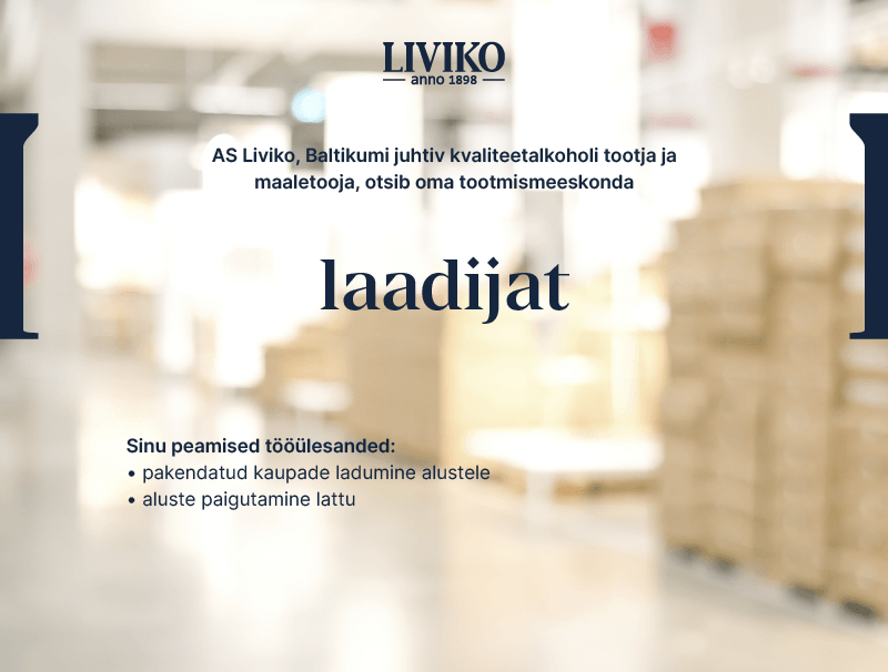Otsime oma meeskonda laadijat