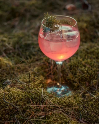Crafter's Aromatic Flower Gin, crafted with Nordic flowers and the enchantment of midsummer nights 🌙

Attention! This is an alcoholic beverage. Alcohol may damage your health.